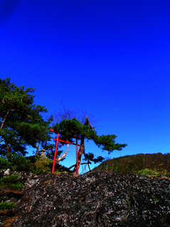 29美豆の小島04s.jpg